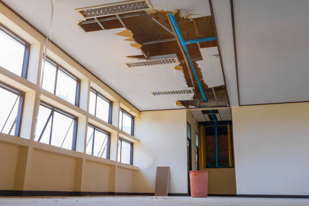 Best Water damage restoration mold remediation  in Vienna, GA