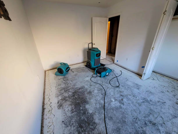 Best Professional water damage repair  in Vienna, GA