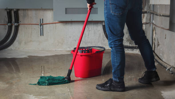Best Water damage restoration cost  in Vienna, GA