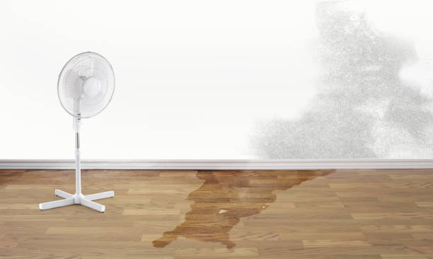 Best Sewage cleanup and water damage restoration  in Vienna, GA