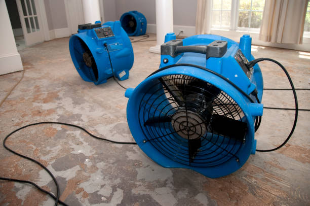 Best Water damage restoration near me  in Vienna, GA