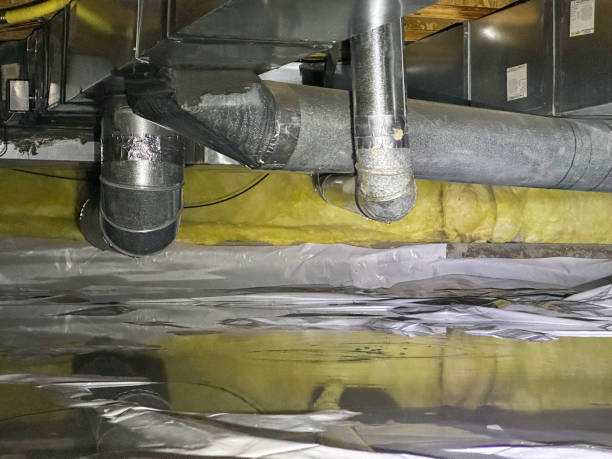 Best Water damage restoration near me  in Vienna, GA