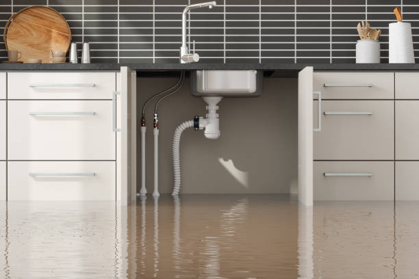 Best Carpet water damage restoration  in Vienna, GA