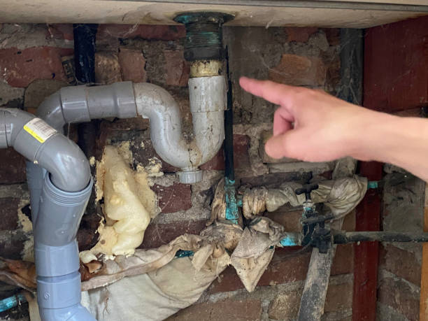 Best Flooded house restoration  in Vienna, GA