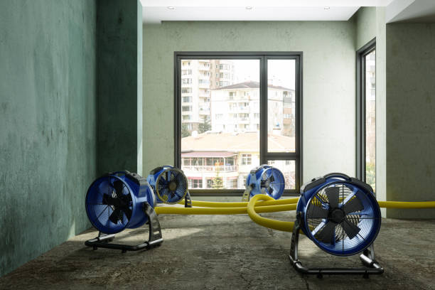 Best Mold removal after water damage  in Vienna, GA