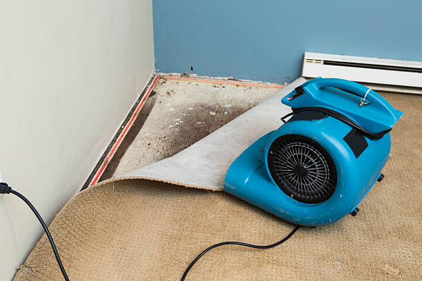 Best Commercial water damage restoration  in Vienna, GA